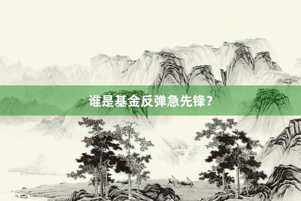 谁是基金反弹急先锋？
