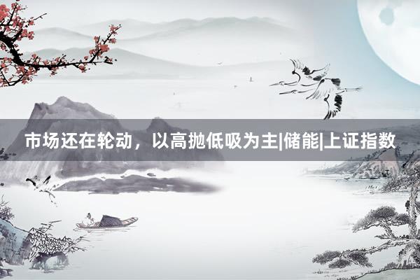 市场还在轮动，以高抛低吸为主|储能|上证指数