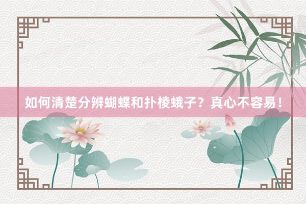 如何清楚分辨蝴蝶和扑棱蛾子?真心不容易!