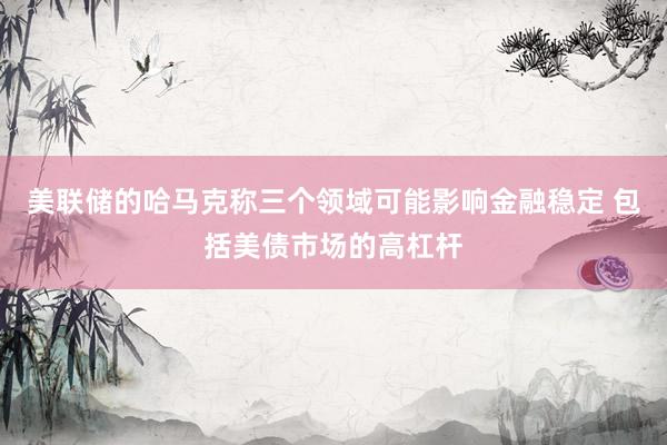美联储的哈马克称三个领域可能影响金融稳定 包括美债市场的高杠杆