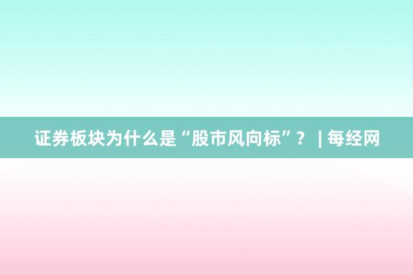 证券板块为什么是“股市风向标”？ | 每经网