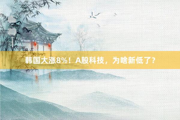 韩国大涨8%！A股科技，为啥新低了？