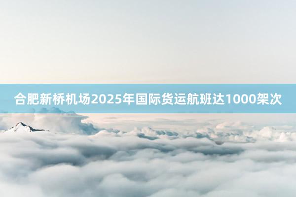 合肥新桥机场2025年国际货运航班达1000架次