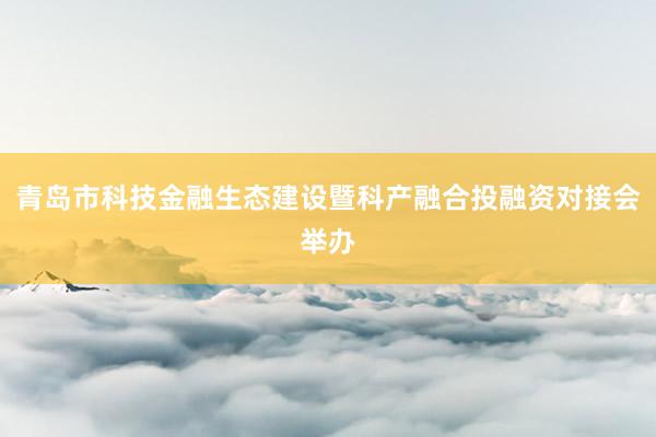青岛市科技金融生态建设暨科产融合投融资对接会举办