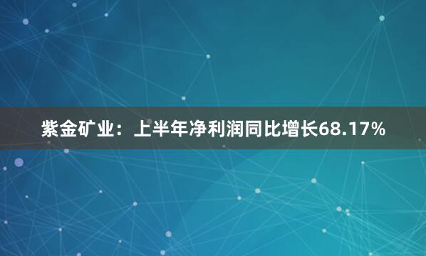 紫金矿业：上半年净利润同比增长68.17%