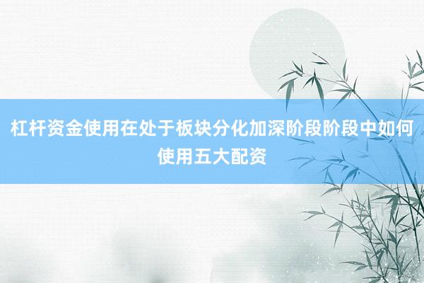 杠杆资金使用在处于板块分化加深阶段阶段中如何使用五大配资