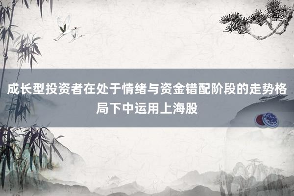成长型投资者在处于情绪与资金错配阶段的走势格局下中运用上海股