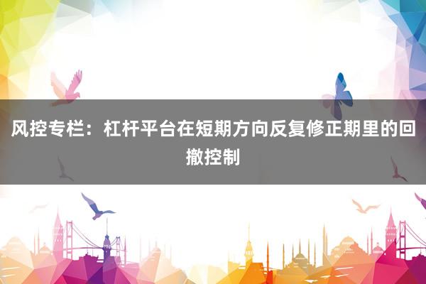 风控专栏：杠杆平台在短期方向反复修正期里的回撤控制