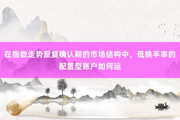 在指数走势反复确认期的市场结构中，低换手率的配置型账户如何运