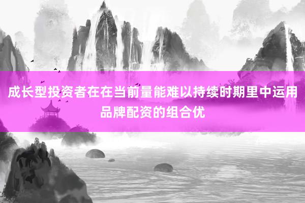 成长型投资者在在当前量能难以持续时期里中运用品牌配资的组合优