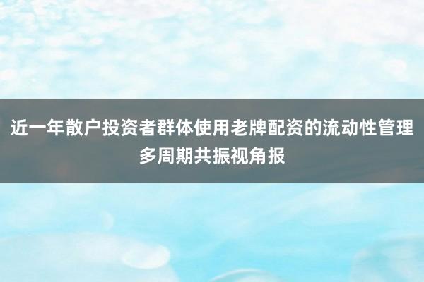 近一年散户投资者群体使用老牌配资的流动性管理多周期共振视角报