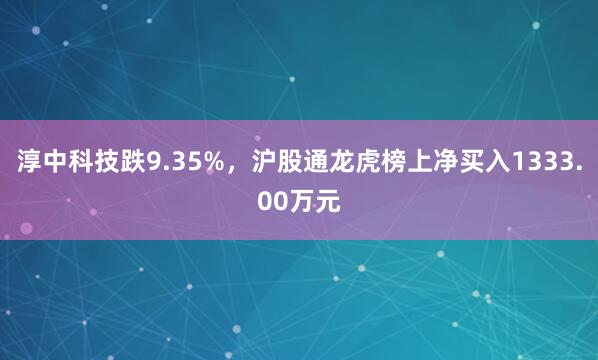 淳中科技跌9.35%，沪股通龙虎榜上净买入1333.00万元