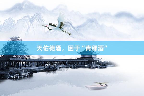 天佑德酒，困于“青稞酒”