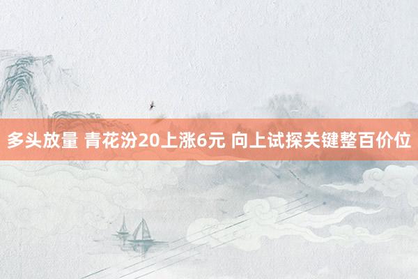 多头放量 青花汾20上涨6元 向上试探关键整百价位