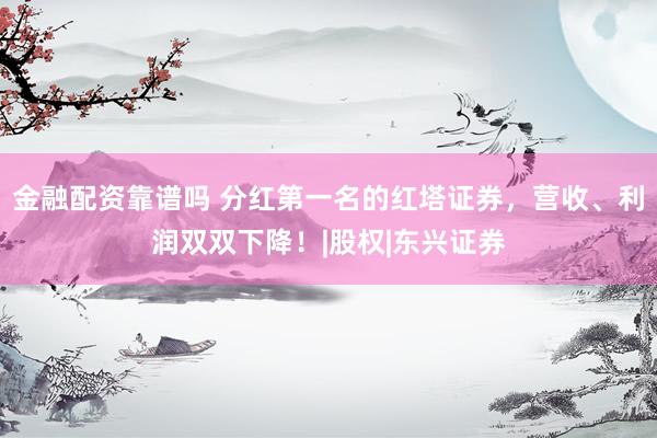 金融配资靠谱吗 分红第一名的红塔证券，营收、利润双双下降！|股权|东兴证券