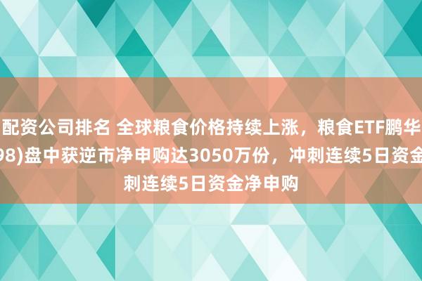 配资公司排名 全球粮食价格持续上涨，粮食ETF鹏华(159698)盘中获逆市净申购达3050万份，冲刺连续5日资金净申购