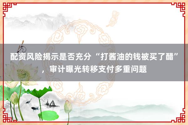 配资风险揭示是否充分 “打酱油的钱被买了醋”，审计曝光转移支付多重问题