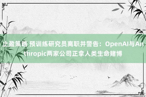止盈策略 预训练研究员离职并警告：OpenAI与Anthropic两家公司正拿人类生命赌博