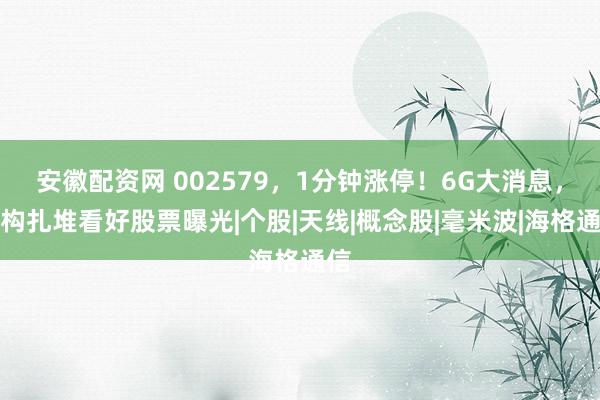 安徽配资网 002579，1分钟涨停！6G大消息，机构扎堆看好股票曝光|个股|天线|概念股|毫米波|海格通信
