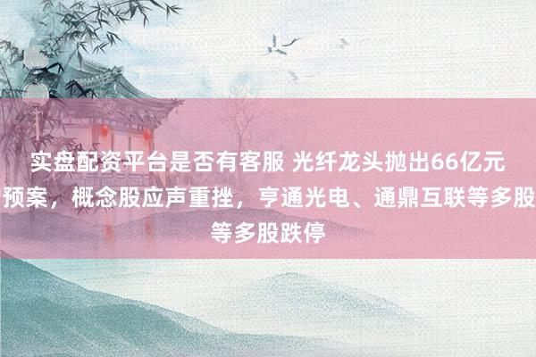 实盘配资平台是否有客服 光纤龙头抛出66亿元定增预案，概念股应声重挫，亨通光电、通鼎互联等多股跌停