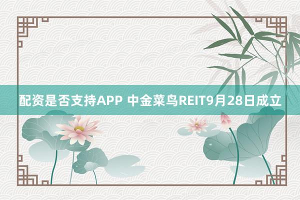 配资是否支持APP 中金菜鸟REIT9月28日成立