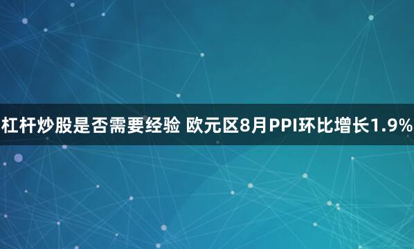 杠杆炒股是否需要经验 欧元区8月PPI环比增长1.9%