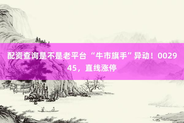 配资查询是不是老平台 “牛市旗手”异动！002945，直线涨停