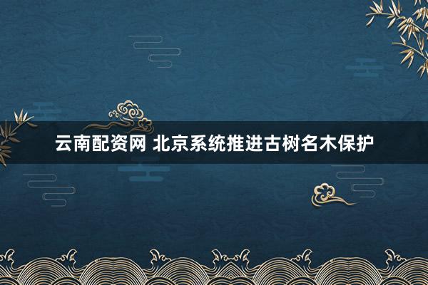 云南配资网 北京系统推进古树名木保护